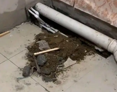 枝江卫生间漏水检测哪家好